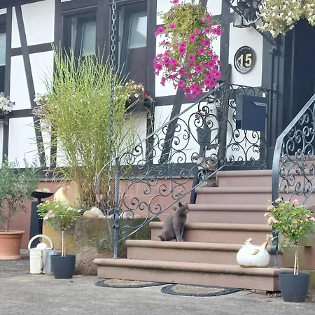 Lauerbacher Hof 아파트 *