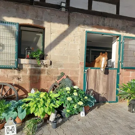 Lauerbacher Hof شقة