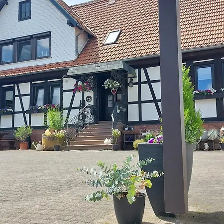 Lauerbacher Hof * 에르바흐